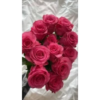 Букет из 11 розовых роз